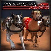 Greyhound Racing Online Game