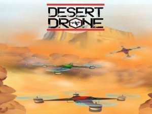 Desert Drone Flying Game